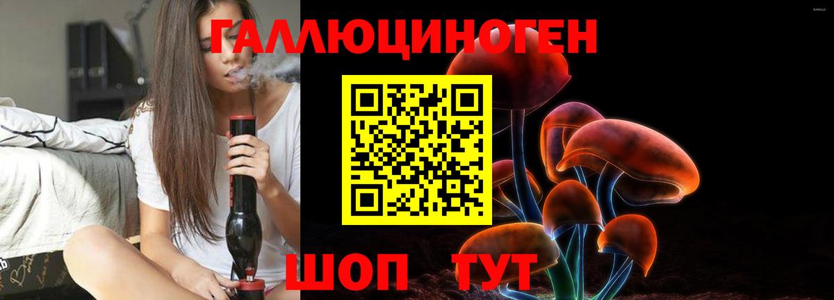 Псилоцибиновые грибы Psilocybine cubensis  Вход с VPN  Щёлково  Псилоцибиновые грибы Magic Shrooms 